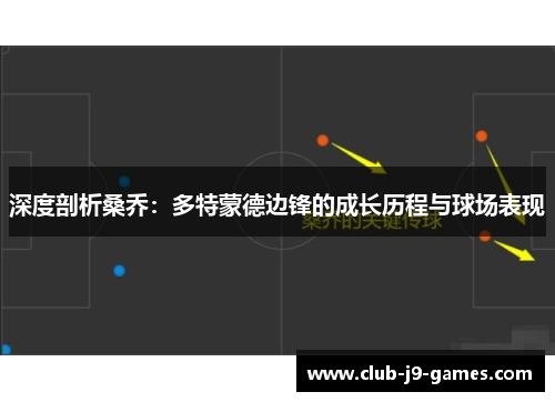 深度剖析桑乔：多特蒙德边锋的成长历程与球场表现
