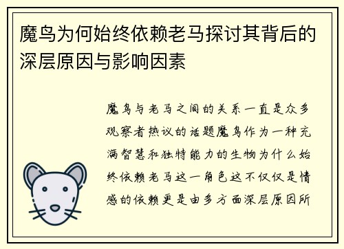魔鸟为何始终依赖老马探讨其背后的深层原因与影响因素