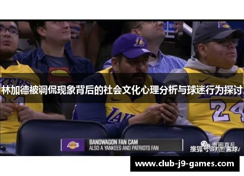 林加德被调侃现象背后的社会文化心理分析与球迷行为探讨