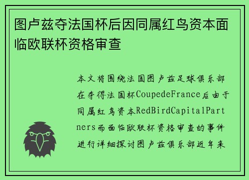图卢兹夺法国杯后因同属红鸟资本面临欧联杯资格审查 图卢兹夺法国杯后因同属红鸟资本面临欧联杯资格审查